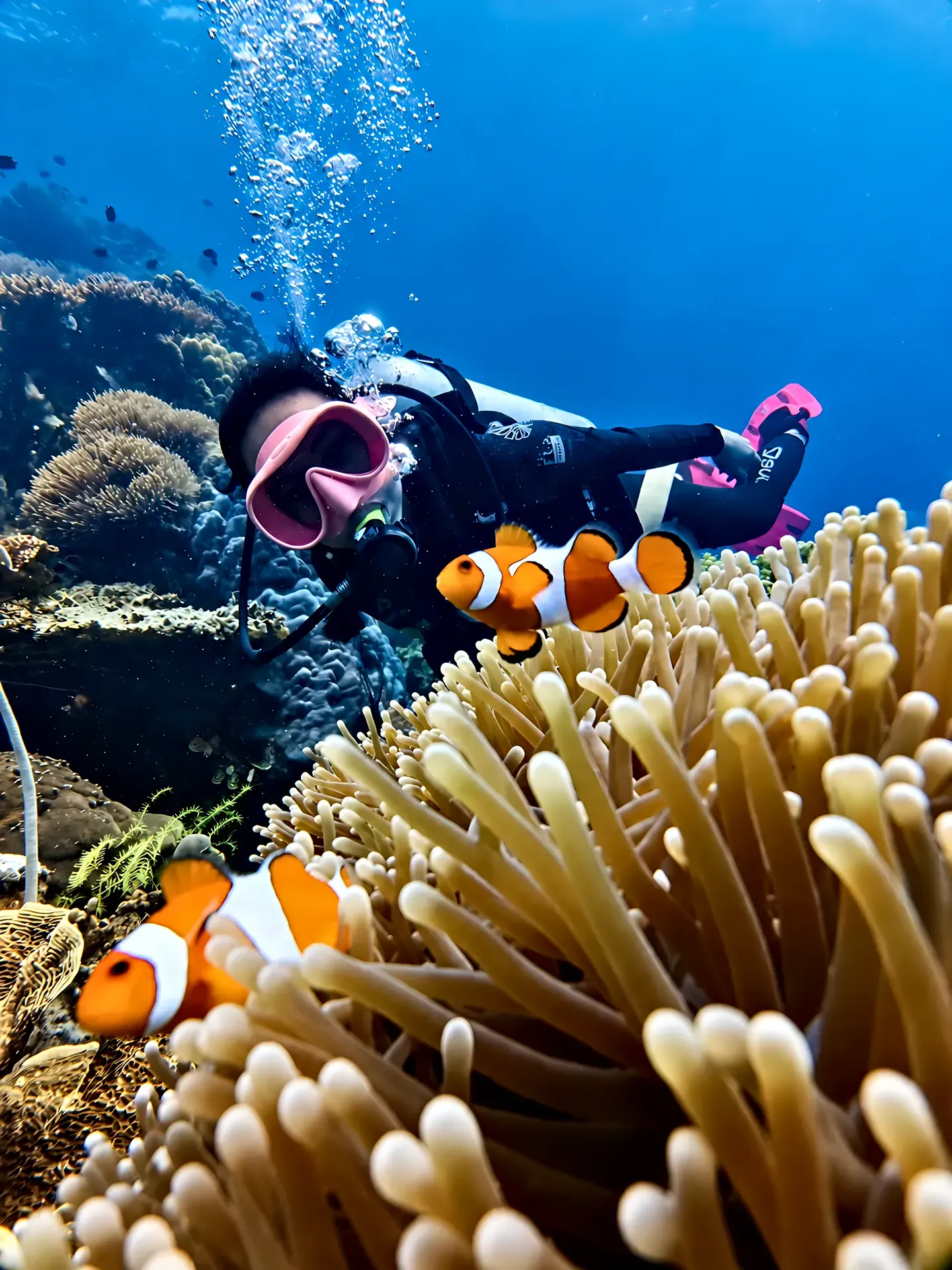 Diver with two clownfish in an anemone