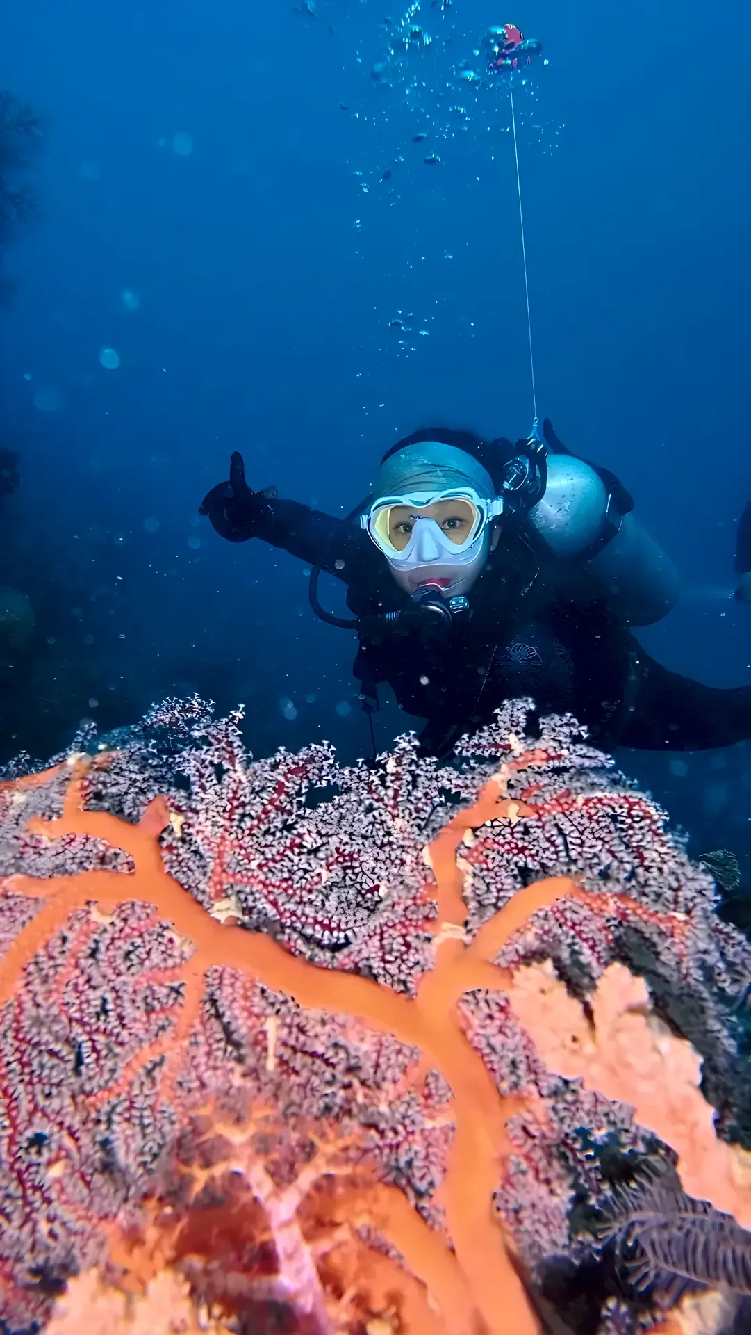 Diver smiling behind a purple sea fan