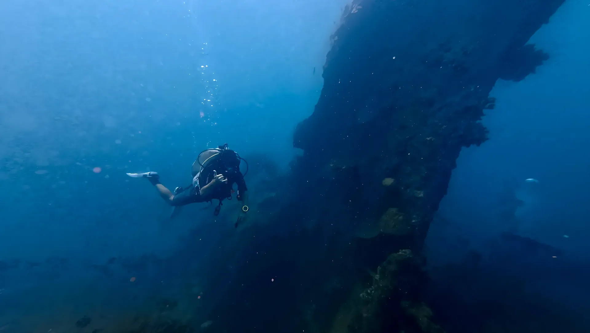 Diver exploring the Indonor wreck