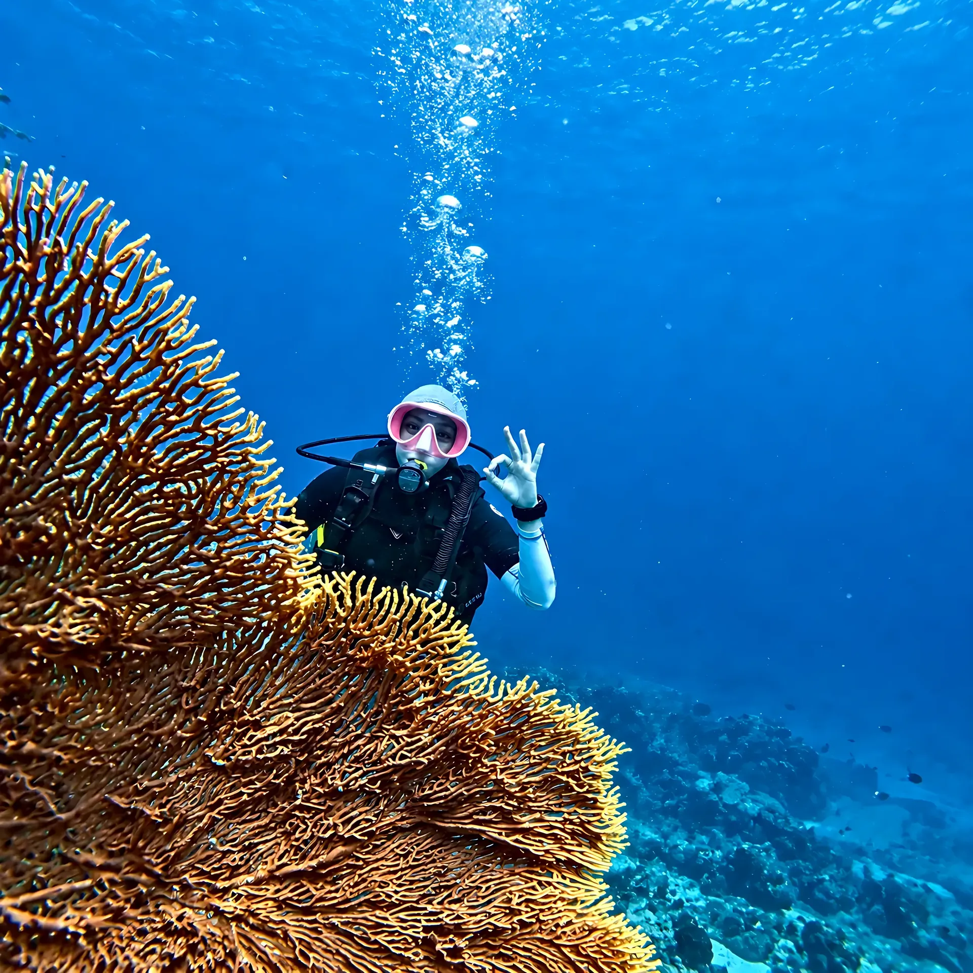 Diver giving the OK sign behind a large sea fan